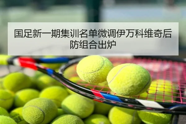 国足新一期集训名单微调伊万科维奇后防组合出炉